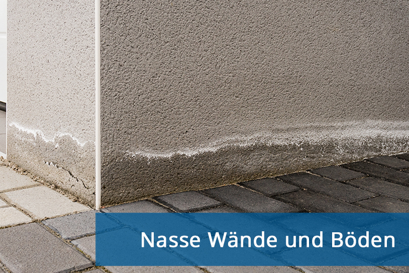 Nasse_Waende